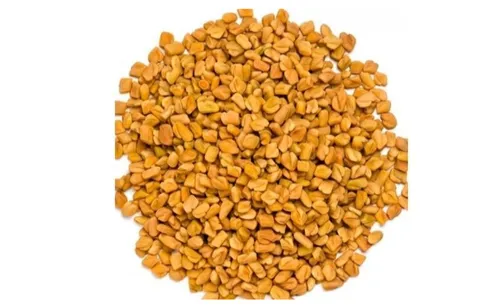 Fenugreek