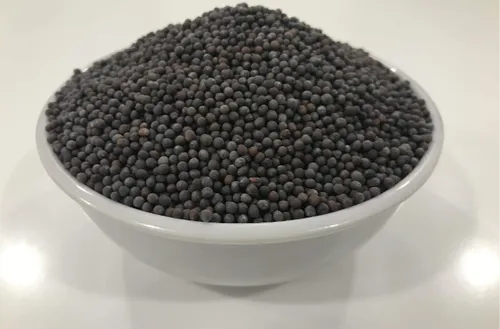 Organic Black Mustard Seeds