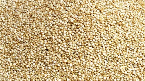 Organic Quinoa Seeds