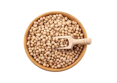 Organic Soyabean Daal